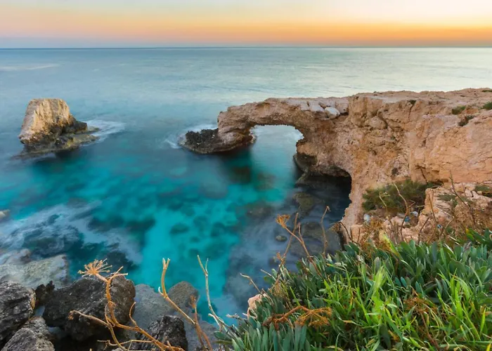 فيلة Marina بروتاراس